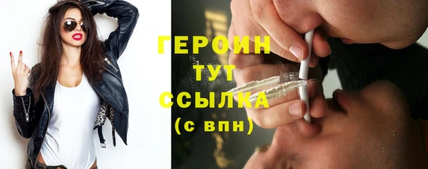 прущие грибы Елабуга