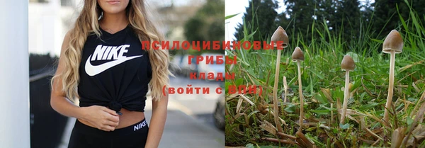 кокаин Елизово