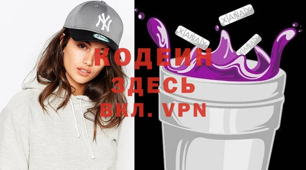 прущие грибы Елабуга
