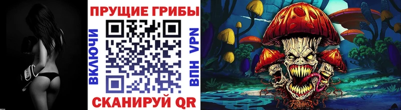 Псилоцибиновые грибы мицелий OMG вход Лахденпохья как найти закладки